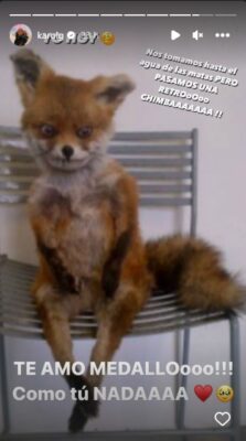 Historia de Instagram Karol G