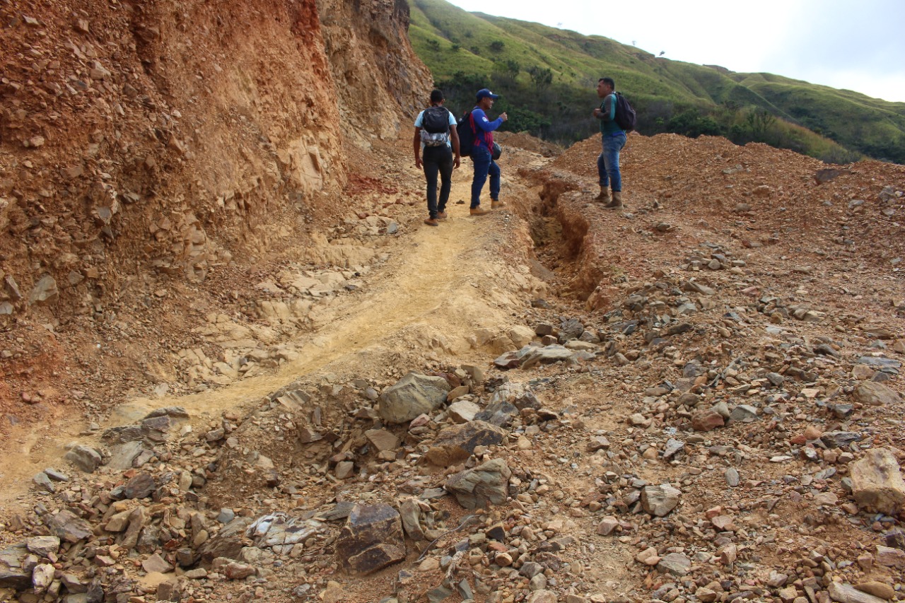 - Las cosechas que se pierden en la serranía del Perijá por la falta de caminos