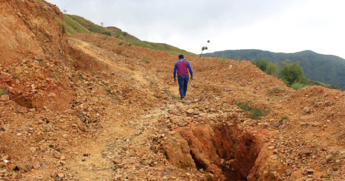 Las cosechas que se pierden en la serranía del Perijá por la falta de caminos