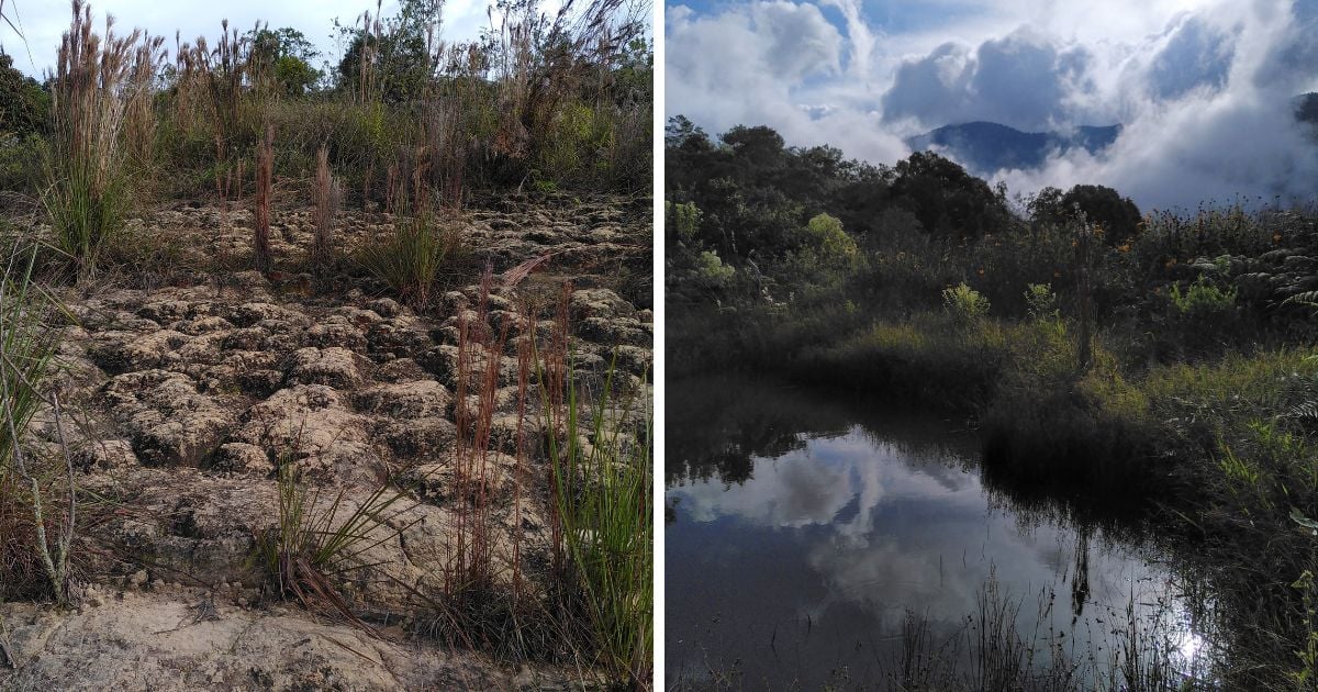 Una visita a una reserva natural civil en Zapatoca