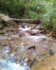 El riesgo que corre el imponente páramo del Jordán, en el macizo colombiano - -- Las2orillas - El riesgo que corre el imponente páramo del Jordán, en el macizo colombiano