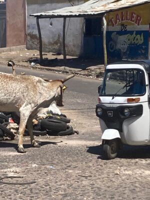  - Un gran horno en La Guajira