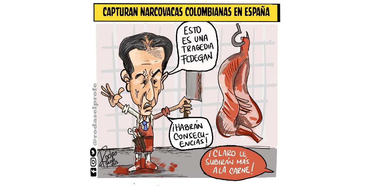 Caricatura: Capturan narcovacas colombianas en España