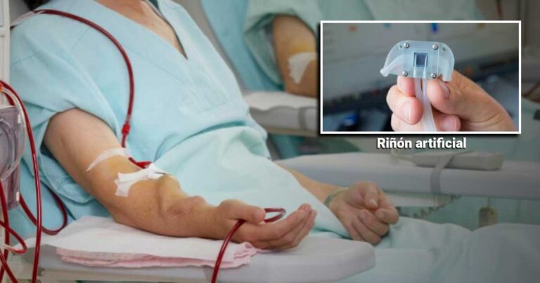 Riñones - Riñones portátiles y artificiales, se acabó la esclavitud de las diálisis