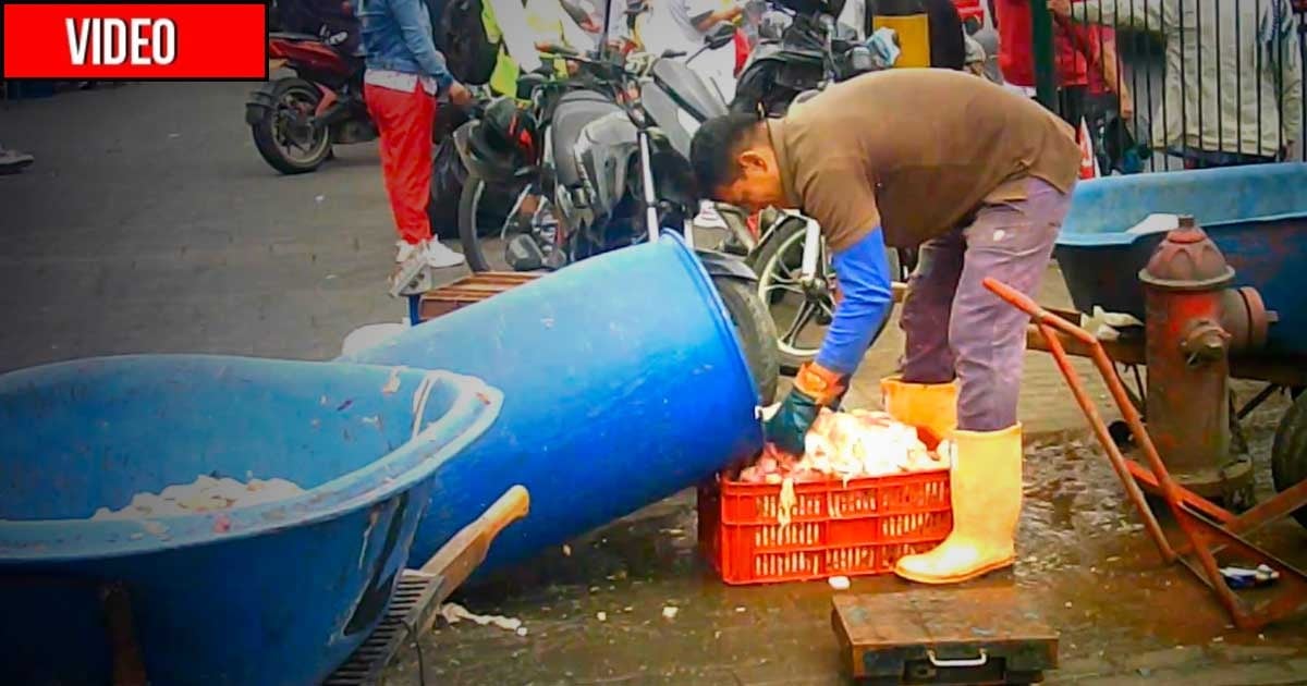 La porquería de pelanga que venden en Bogotá