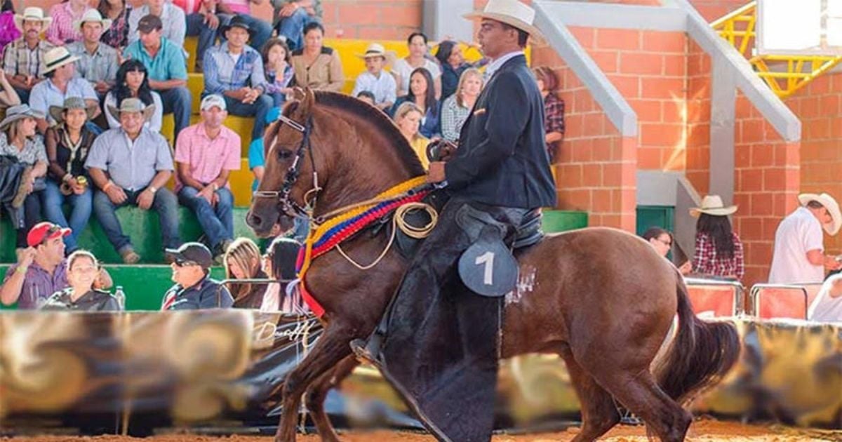 Colombia, un país apasionado por los caballos