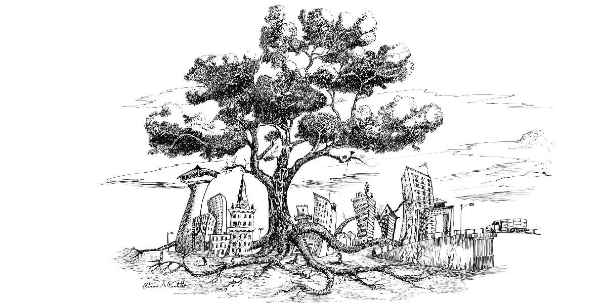 Transición energética, un urgente regreso al pasado