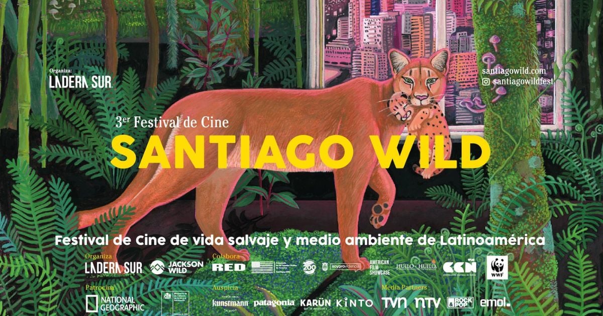 Dos documentales colombianos finalistas del Festival de Cine Santiago Wild 2023