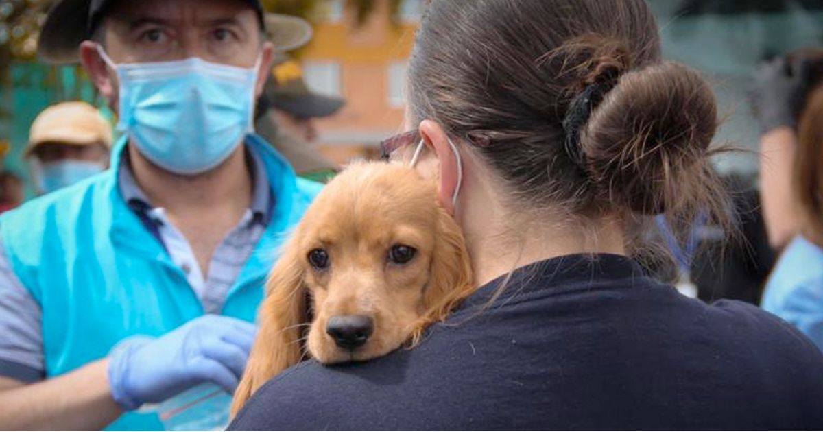 Hay que defender a los animales desde la academia