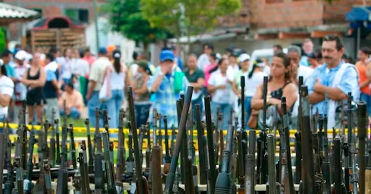 Alimentar la Paz: el proyecto productivo piscícola de excombatientes de las antiguas FARC-EP