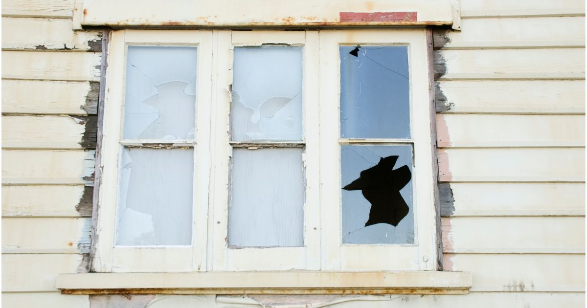 ¿Cómo se explica el fenómeno social de 