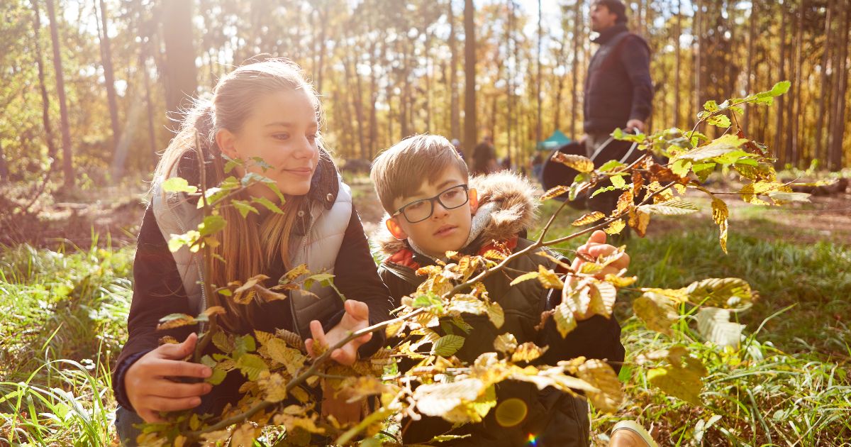 O nos educamos para cuidar a nuestra madre tierra o desaparecemos: así de simple