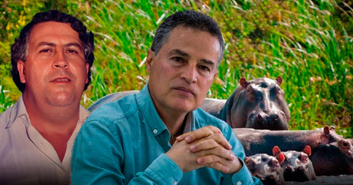 La fortuna que cuesta sacar de Colombia los hipopótamos de Pablo Escobar
