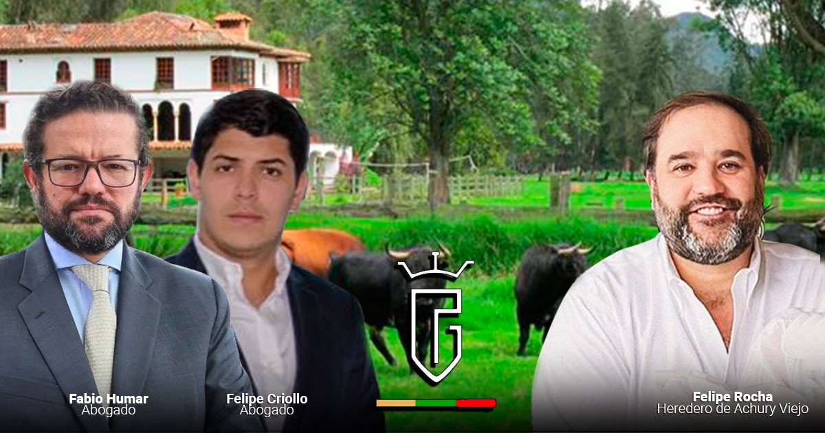 El desorden de la pirámide de Felipe Rocha, traba mayor para recuperar los $ 70 mil millones