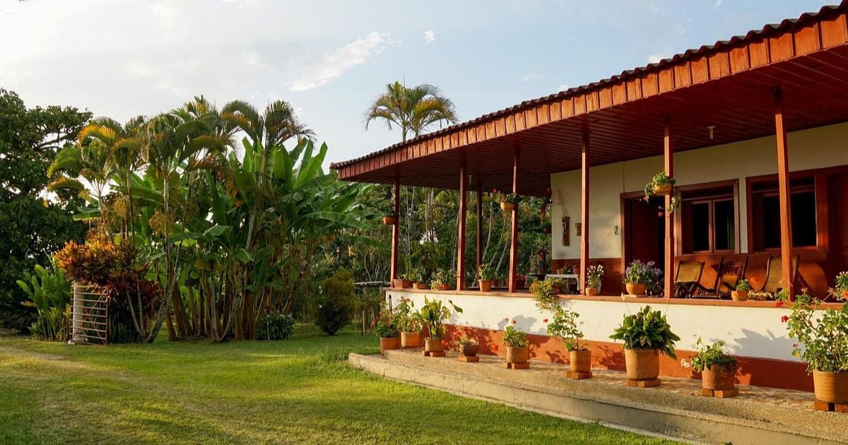 Todo lo que debe saber sobre el Edén tropical del Quindío
