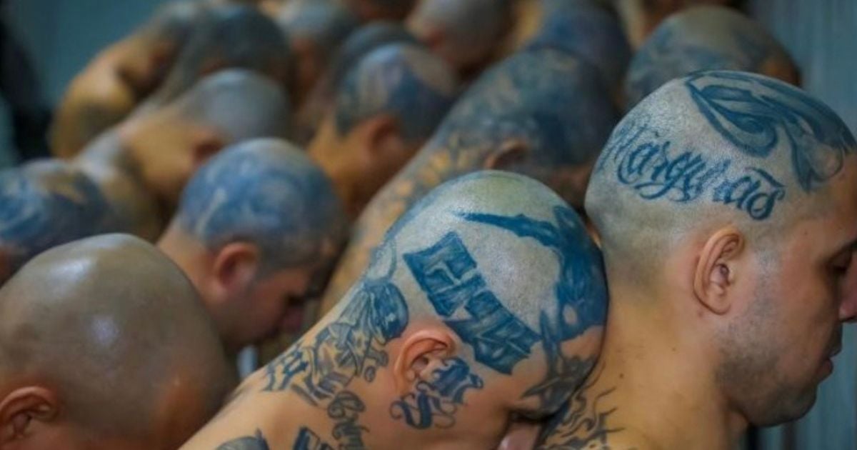 El mara salvatrucha colombiano que terminó abatido por la justicia salvadoreña