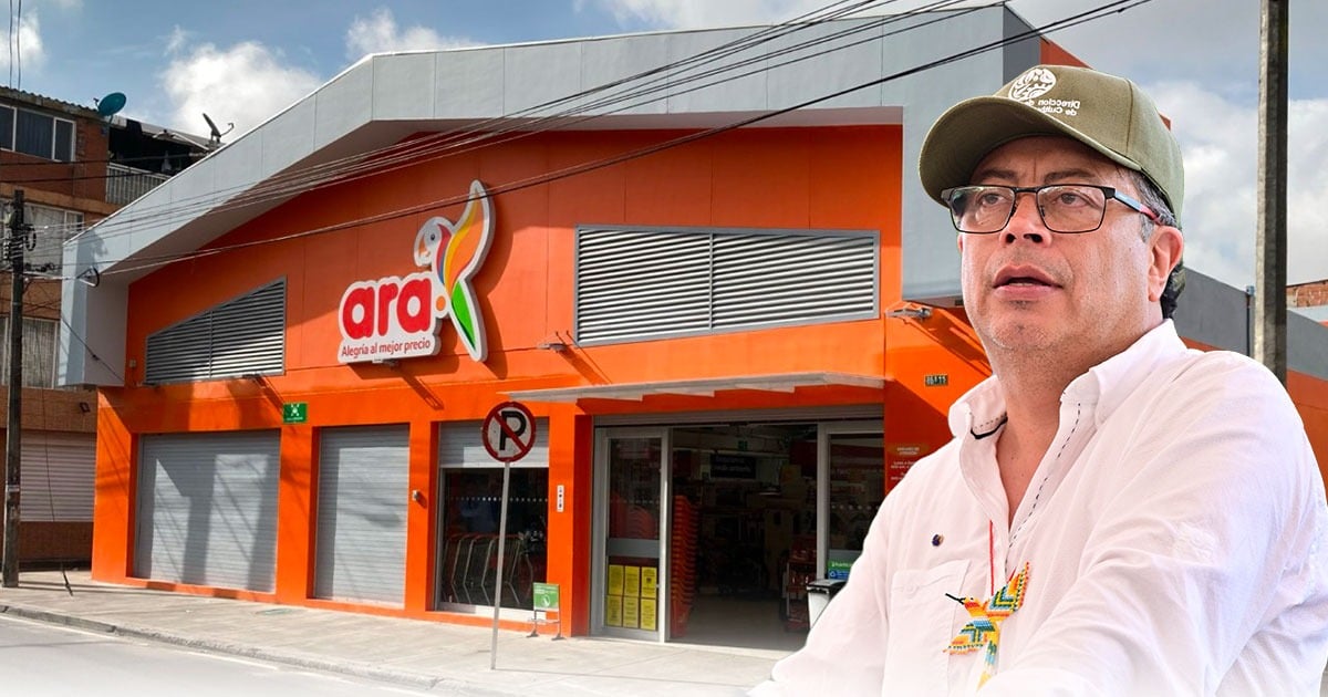 Ara, la mejor amiga de Petro, arrasa con D1