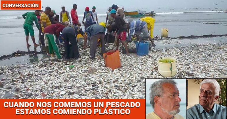 Plástico - “El gran enemigo de la vida es el plástico”