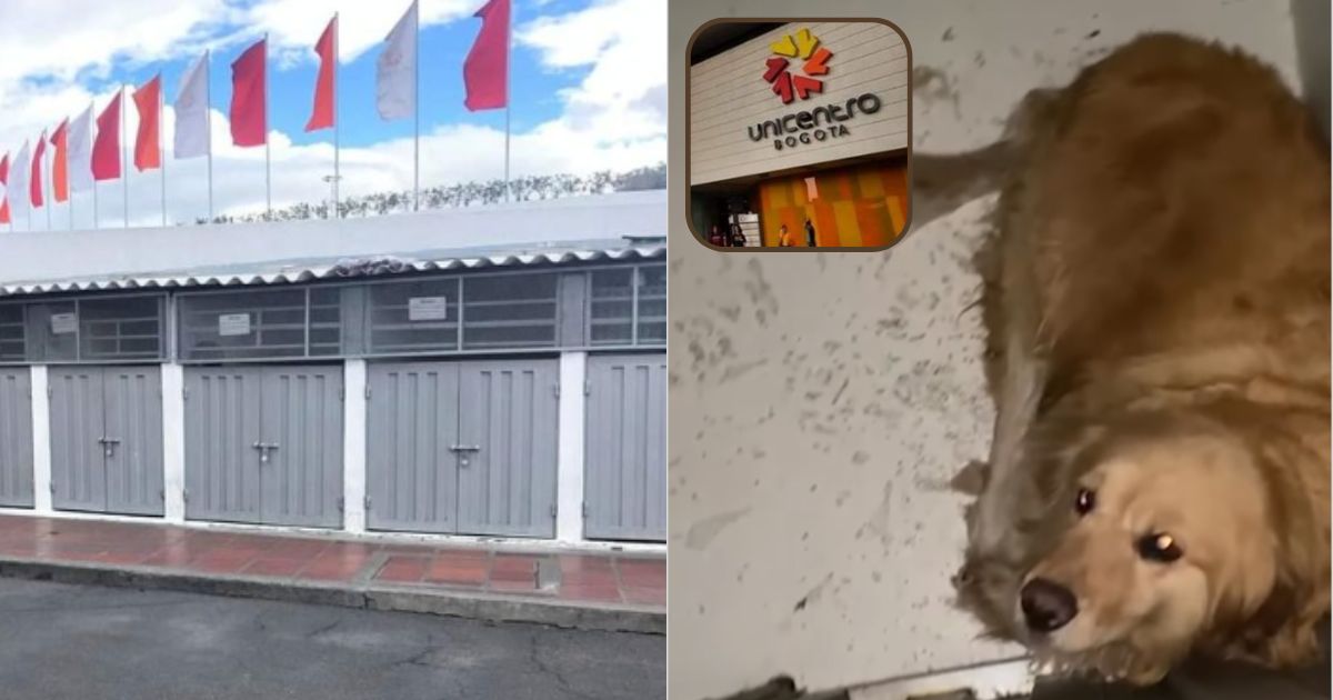 ¿El peor centro comercial de Bogotá? Las denuncias de maltrato animal que salpican a Unicentro