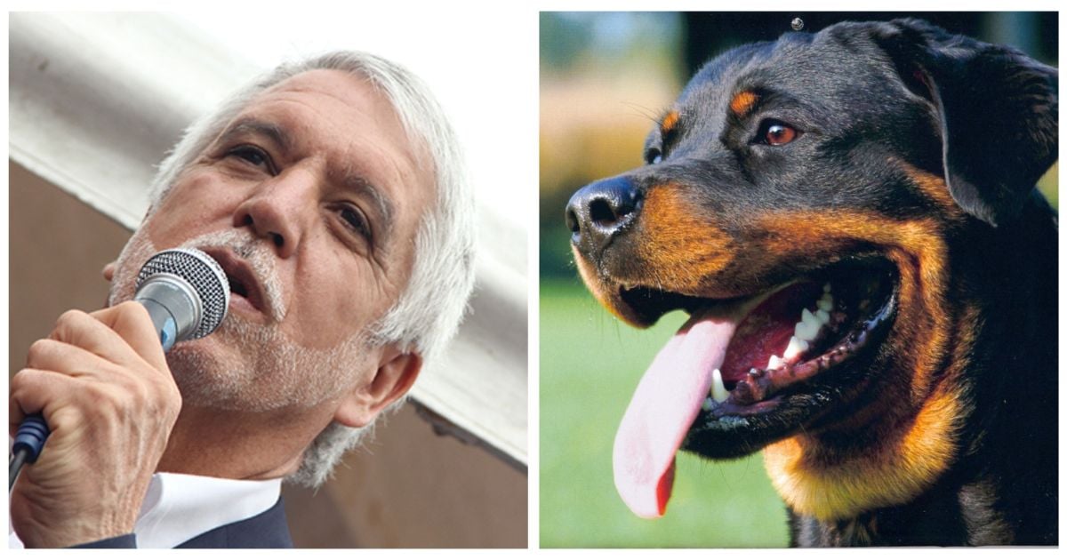 Peñalosa pasea a su perro de manejo especial sin bozal ni correa