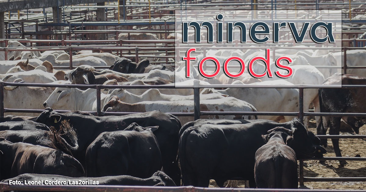 Los rusos decididos a comer cada día más carne de res colombiana