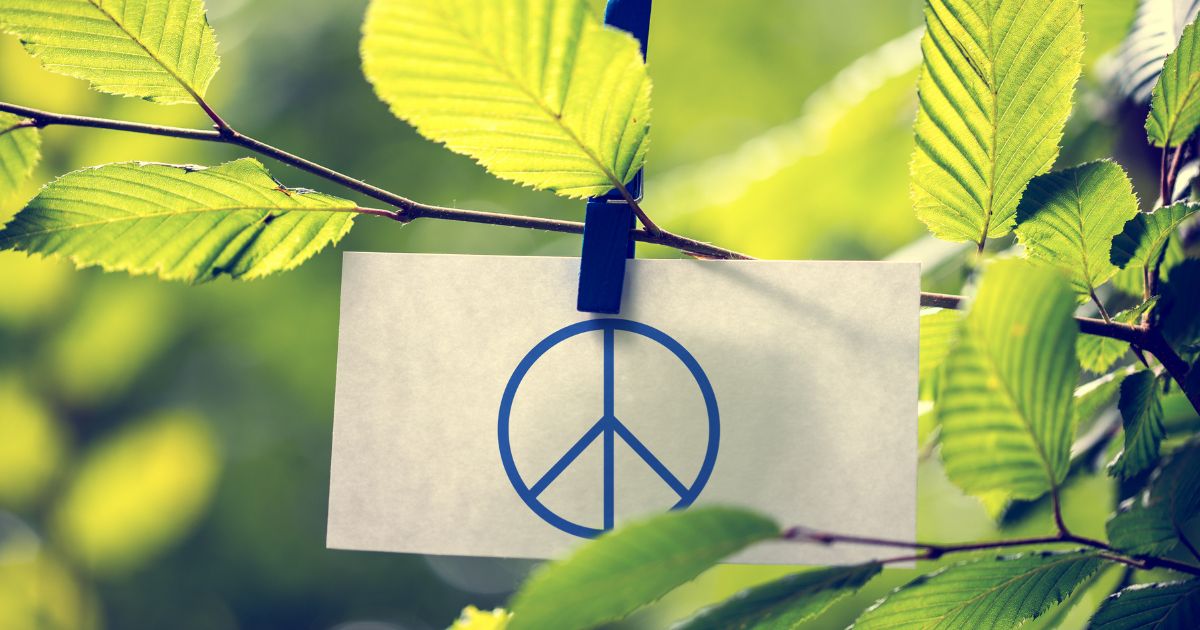 ¿Una tregua más? ¿Para qué?