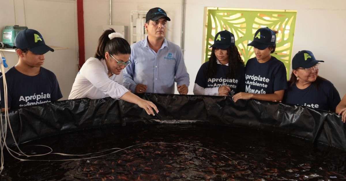 Las Ecoescuelas del Atlántico para fomentar mejores prácticas ambientales