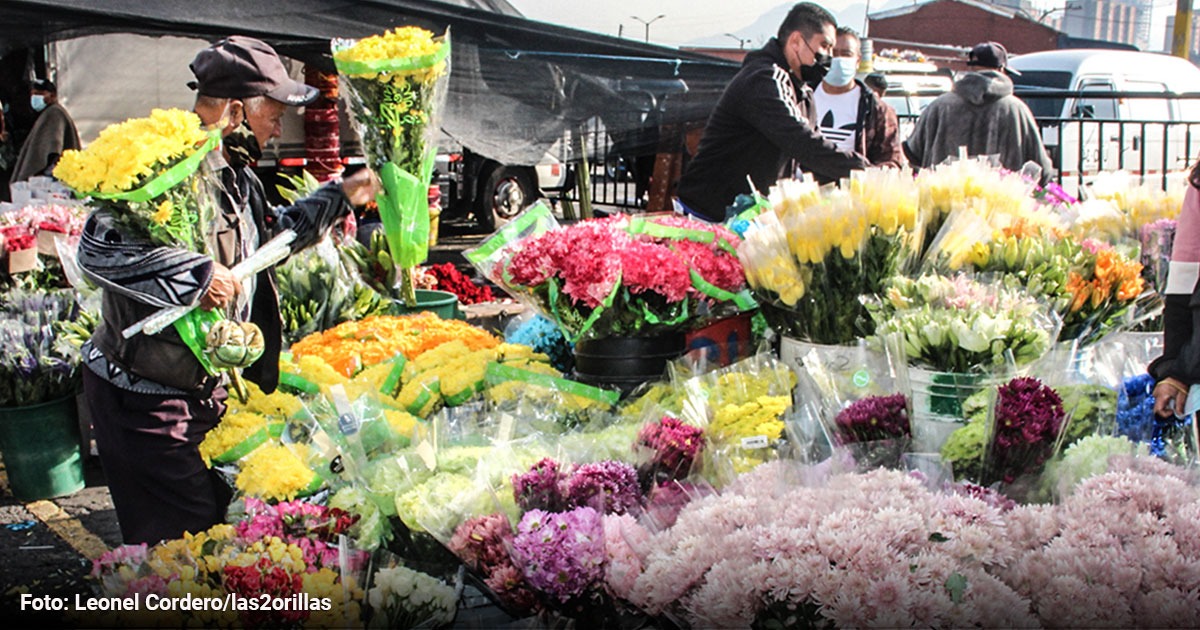 La exportación de flores es un negociazo en Colombia