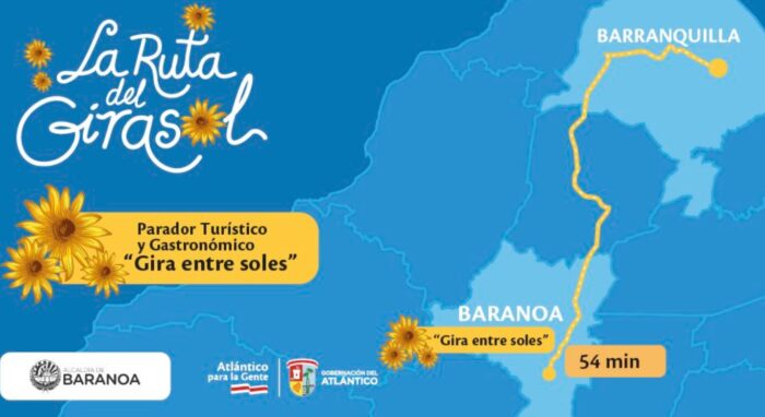 La Ruta del Girasol vuelve a Baranoa, Atlántico - -- Las2orillas Ubicación de la Ruta del Girasol