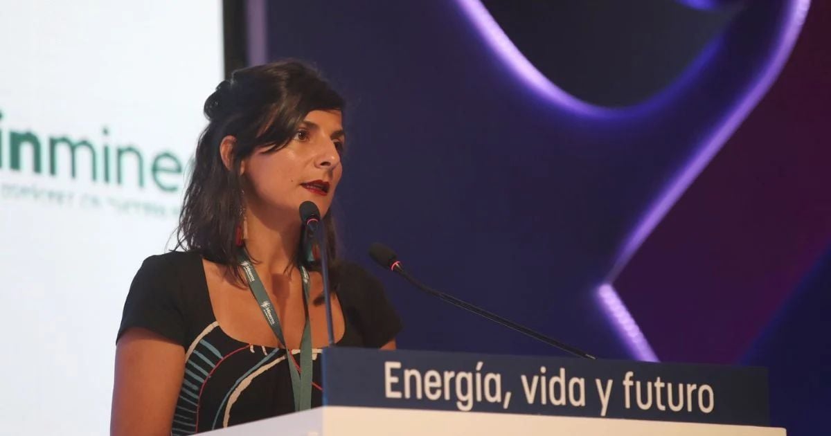 Aliste el bolsillo: las subidas que tendrá el recibo de la luz anunciadas por Irene Vélez