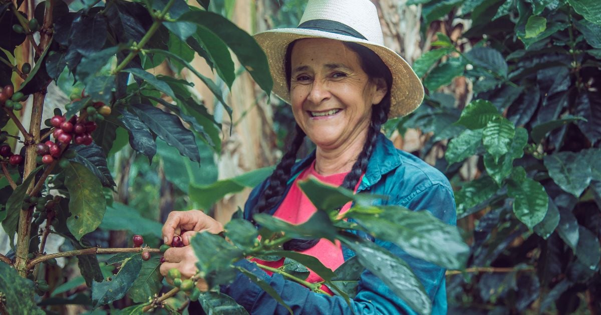 Si en algo debe reflejarse la paz total es en productividad rural