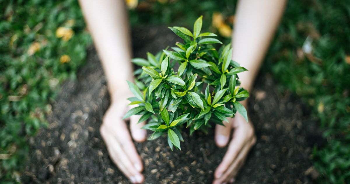 En marcha la quinta edición del curso gratuito sobre alimentación basada en plantas