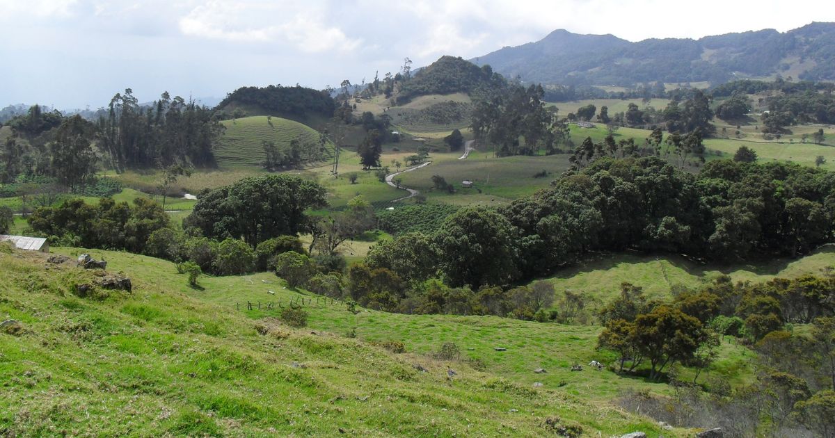 ¿Empantanado? En qué va el gran proyecto Bogotá-región metropolitana