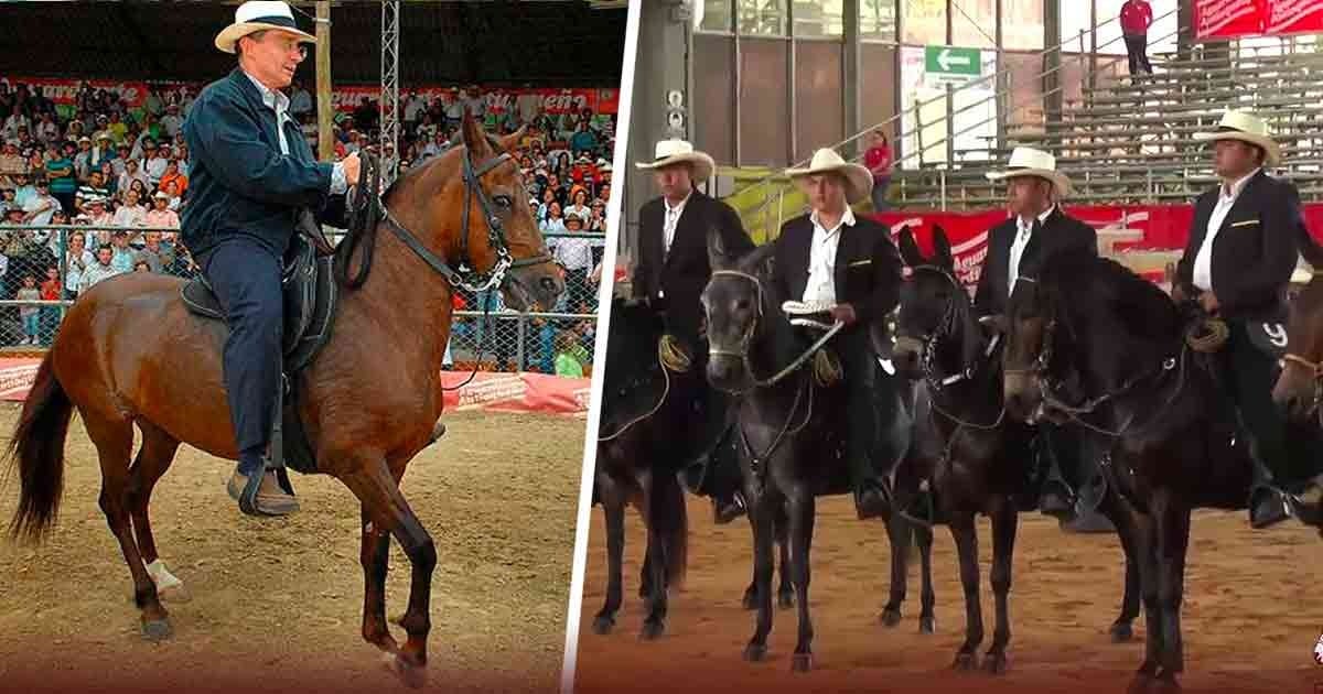 Los caballos más caros de Colombia valen hasta dos millones de dólares