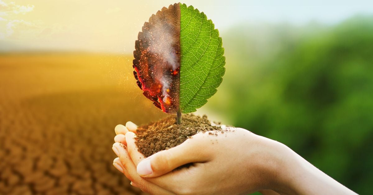 ¿Se avecina una catástrofe ambiental en Ciudad Mallorquín y corredor universitario de Barranquilla?