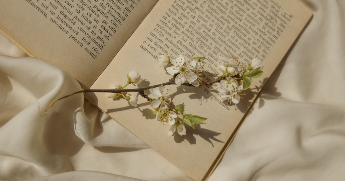 Por 15 días, Medellín es el ágora de la poesía