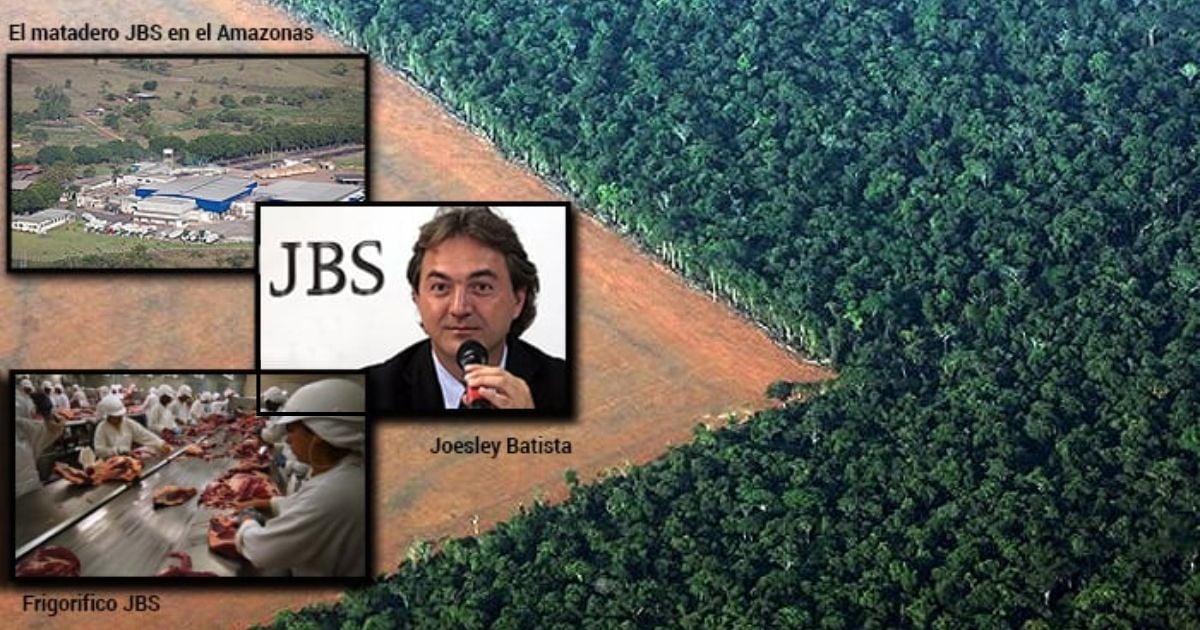 Qué va a hacer Lula con JBS, una de las responsables de talar 800 millones de árboles en la Amazonía