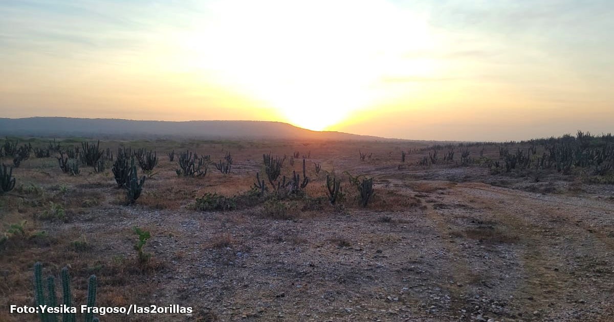 Y seguirá la corrupción electoral