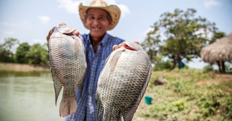 - Colombia, el país megadiverso donde los pescadores ya no quieren pescar por no ser rentable