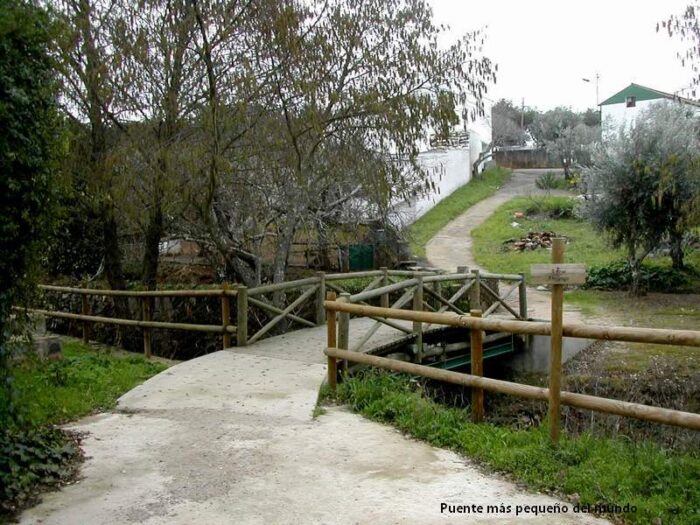  - ¡Qué belleza de puentes!