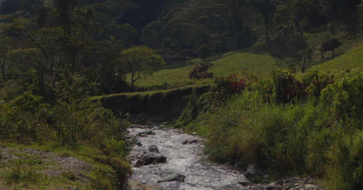 El pulmón verde no está en riesgo: el romeral no se vende