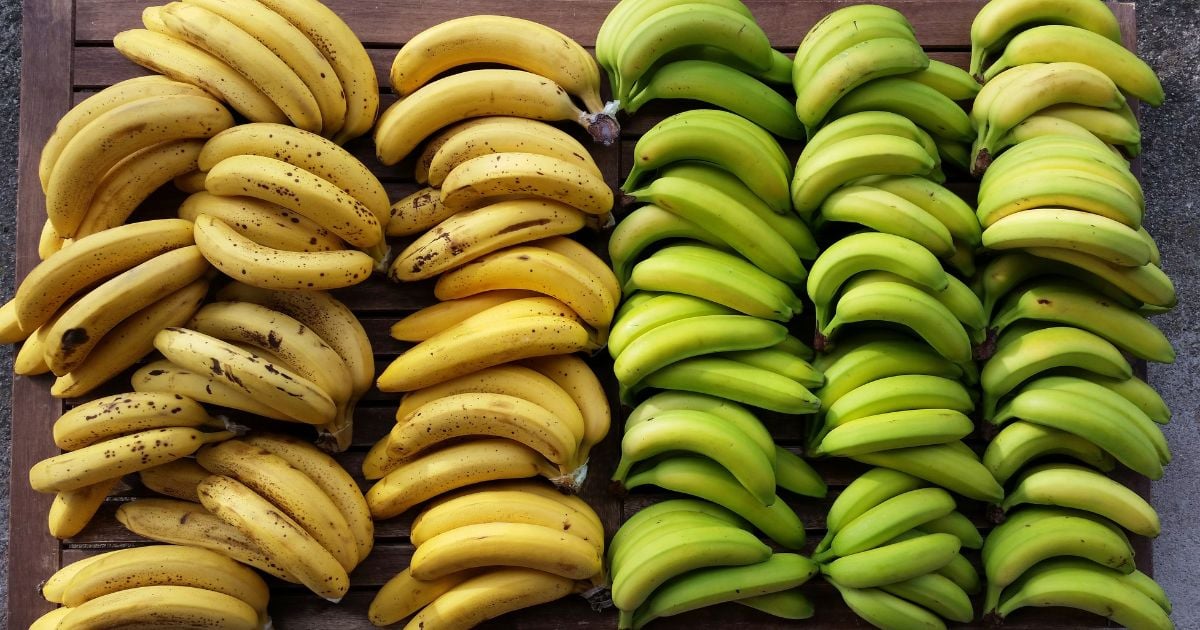 Más de 130 años de atraso: la zona bananera requiere un cambio