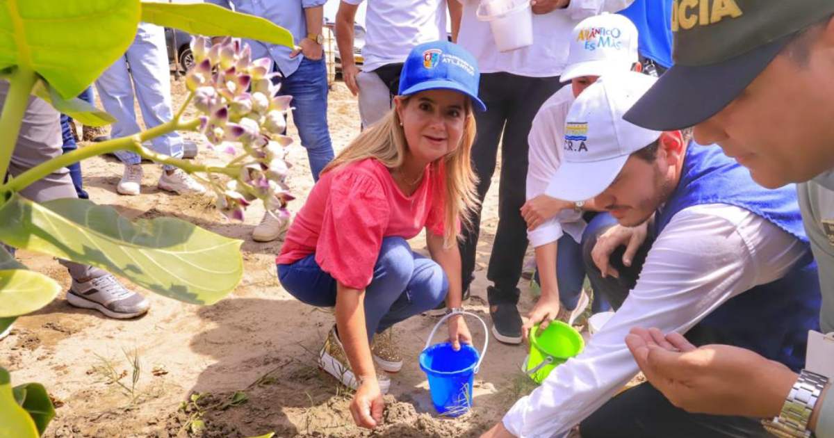 Gobernadora del Atlántico inició siembra de mangle en Salinas del Rey, para promover la sostenibilidad