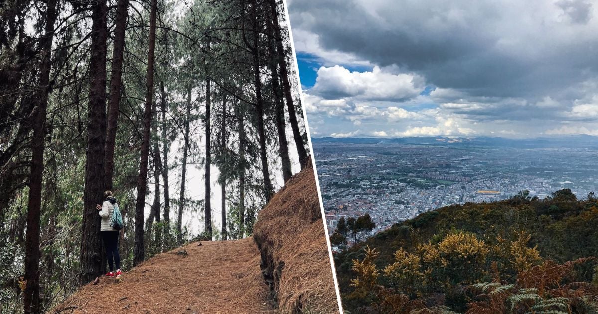 Las tres caminatas ecológicas para conectarse con la naturaleza en Bogotá y que son seguras