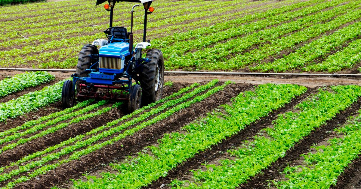 Risaralda y sus enormes posibilidades agrícolas: ventajas de las tecnologías de la industria 4.0