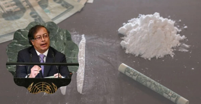  - Prometió y cumplió: Petro por fin comprará hoja de coca