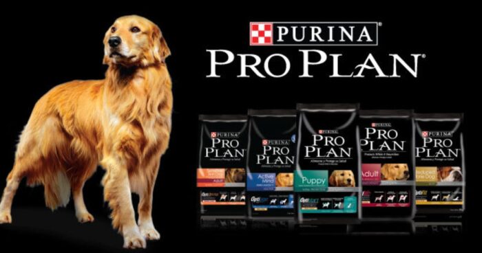  - Los 5 mejores concentrados para perro del mercado colombiano