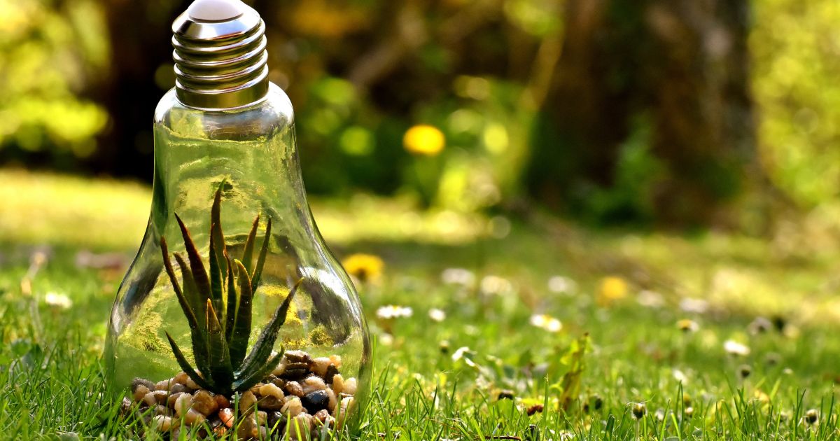 Empresa francesa, experta en biodiversidad, llega a Colombia para atender desafíos ambientales