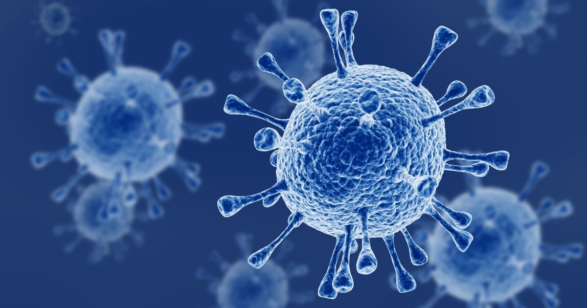 Nipah: el virus que puede convertirse en la nueva pandemia