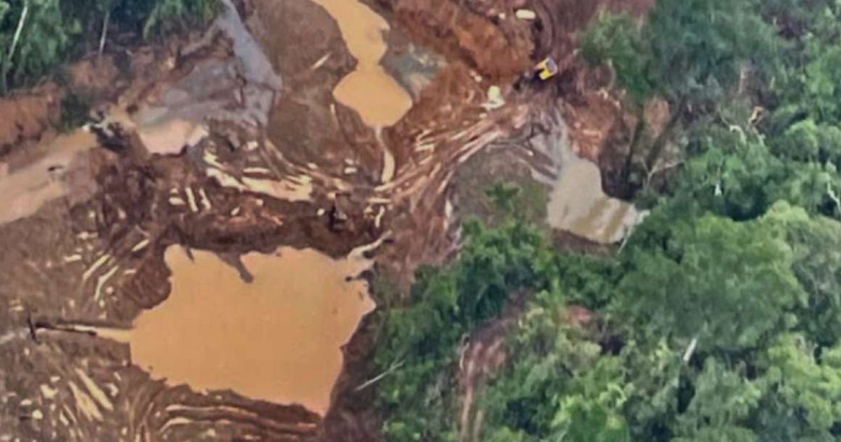 Es insuficiente la lucha de Venezuela contra la minería ilegal